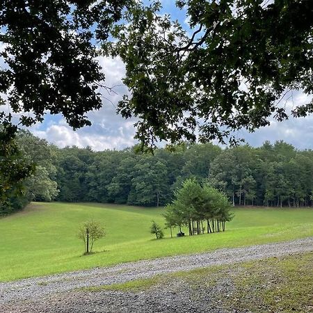 Private Cozy Cabin In The Woods With Great View Murphy Extérieur photo