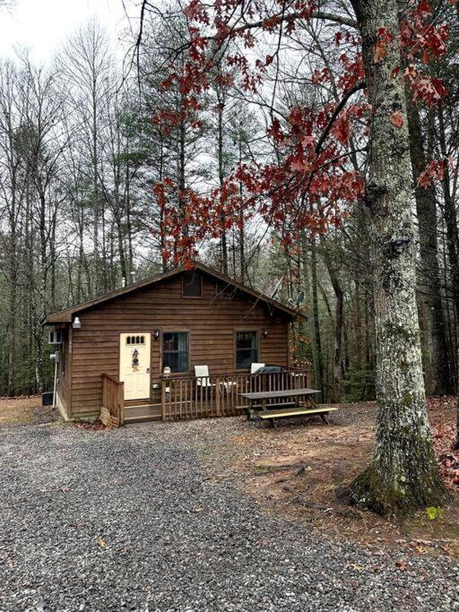 Private Cozy Cabin In The Woods With Great View Murphy Extérieur photo