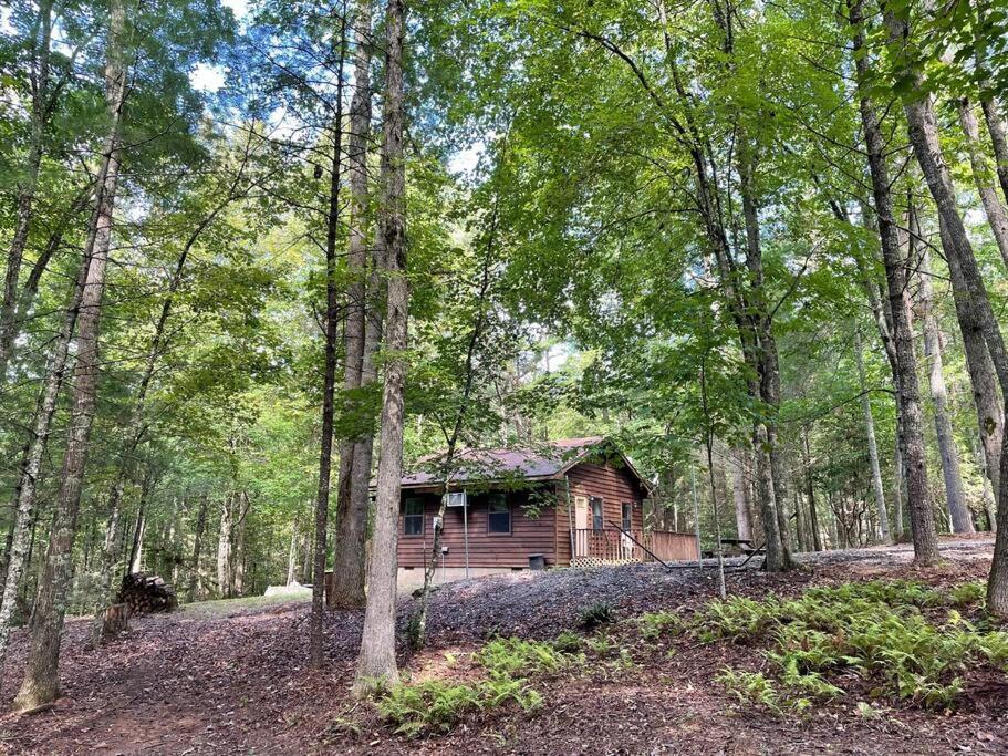 Private Cozy Cabin In The Woods With Great View Murphy Extérieur photo