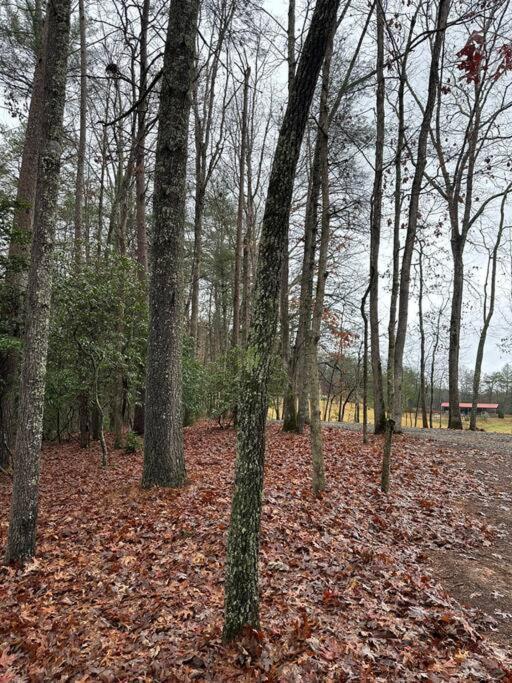 Private Cozy Cabin In The Woods With Great View Murphy Extérieur photo